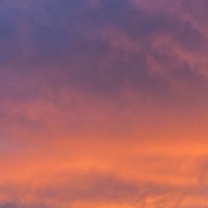 Meet your Posher, Zanyiah